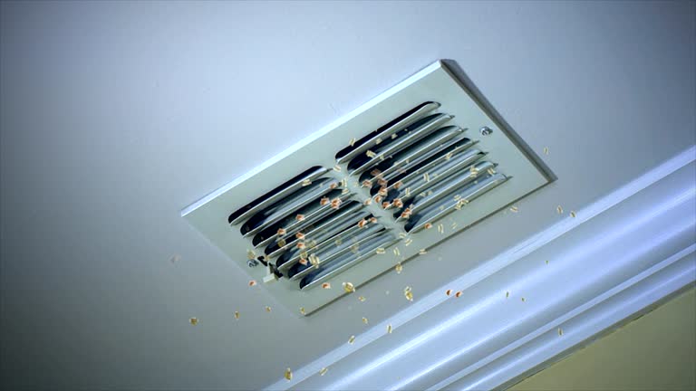 Best Commercial Air Duct Cleaning  in Central Garage, VA