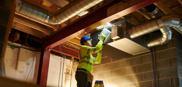 Best Air Duct Mold Removal  in Central Garage, VA