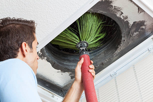 Best Local Air Duct Cleaning Services  in Central Garage, VA